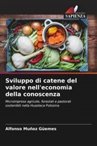 Alfonso Muñoz Güemes - Sviluppo di catene del valore nell'economia della conoscenza