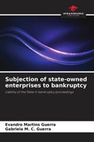 Gabriela M. C. Guerra, Evandro Martins Guerra - Subjection of state-owned enterprises to bankruptcy