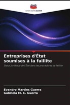 Gabriela M. C. Guerra, Evandro Martins Guerra - Entreprises d'État soumises à la faillite