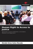 Wendel Alves Sales Macedo - Human Right to Access to Justice