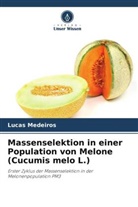 Lucas Medeiros - Massenselektion in einer Population von Melone (Cucumis melo L.)