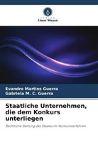Gabriela M C Guerra, Gabriela M. C. Guerra, Evandro Martins Guerra - Staatliche Unternehmen, die dem Konkurs unterliegen