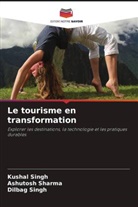 Ashutosh Sharma, Dilbag Singh, Kushal Singh - Le tourisme en transformation