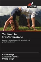 Ashutosh Sharma, Dilbag Singh, Kushal Singh - Turismo in trasformazione