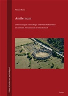Manuel Buess, Michael Heinzelmann - Amiternum 1