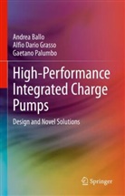 Andrea Ballo, Alfio Dario Grasso, Gaetano Palumbo - High-Performance Integrated Charge Pumps
