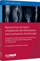 Elmar Ludolph, Michael Meyer-Clement - Begutachtung chirurgisch-orthopädischer Berufskrankheiten durch mechanische Einwirkungen