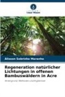 Álisson Sobrinho Maranho - Regeneration natürlicher Lichtungen in offenen Bambuswäldern in Acre
