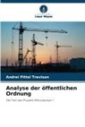 Andrei Pittol Trevisan - Analyse der öffentlichen Ordnung