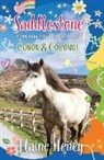 Elaine Heney - Saddlestone Connemara Pony Listening School | Conor and Coconut