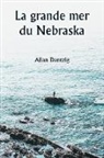 Allan Dantzig - La grande mer du Nebraska