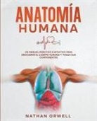 Nathan Orwell - Anatomía Humana