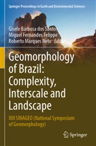 Gisele Barbosa dos Santos, Miguel Fernandes Felippe, Roberto Marques Neto - Geomorphology of Brazil: Complexity, Interscale and Landscape