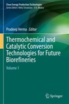 Pradeep Verma - Thermochemical and Catalytic Conversion Technologies for Future Biorefineries