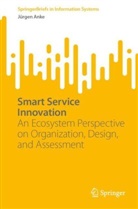 Jürgen Anke - Smart Service Innovation
