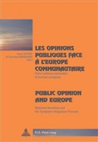 Anne Dulphy, Christine Manigand - Les opinions publiques face à l'Europe communautaire- Public Opinion and Europe
