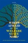 Anton Hemerijck, Anton (Professor of Political Science a Hemerijck, Hemerijck Anton, Manos Matsaganis - Who''s Afraid of the Welfare State Now?