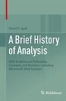 Detlef D Spalt, Detlef D. Spalt - A Brief History of Analysis