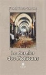 Georges Savillan, Savillan-g - Un bonhomme de chemin