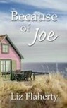 Liz Flaherty - Because of Joe
