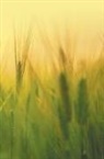 Harsha Sharma - Agricultural Microbiology