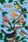 Ladybird, Chris Andrews - A Ladybird Book: Birds