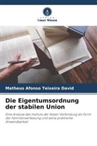 Matheus Afonso Teixeira David - Die Eigentumsordnung der stabilen Union