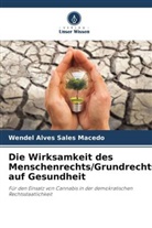 Wendel Alves Sales Macedo - Die Wirksamkeit des Menschenrechts/Grundrechts auf Gesundheit