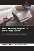 Matheus Afonso Teixeira David - The property regime of the stable union