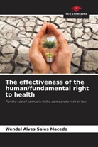 Wendel Alves Sales Macedo - The effectiveness of the human/fundamental right to health