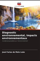 José Farias de Melo Leão - Diagnostic environnemental, Impacts environnementaux