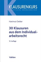 Hartmut Oetker, Hartmut (Dr.) Oetker - 30 Klausuren aus dem Individualarbeitsrecht
