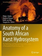 Philip J. Hobbs, Harrison Pienaar, Eddie van Wyk, Eddie van Wyk et al, Eddie van Wyk, Yongxin Xu - Anatomy of a South African Karst Hydrosystem