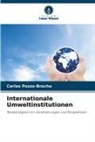 Carlos Pozzo-Bracho - Internationale Umweltinstitutionen