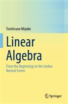Toshitsune Miyake - Linear Algebra