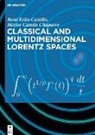 René Erlin Castillo, Héctor Camilo Chaparro - Classical and Multidimensional Lorentz Spaces