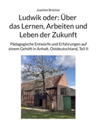 Joachim Bröcher - Ludwik oder: Über das Lernen, Arbeiten und Leben der Zukunft