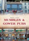 Brian E Davies, Brian E. Davies - Mumbles & Gower Pubs