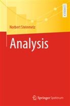 Steinmetz, Norbert Steinmetz - Analysis