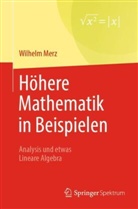 Wilhelm Merz - Höhere Mathematik in Beispielen