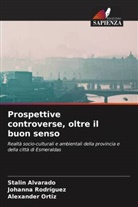 Stalin Alvarado, Alexander Ortiz, Johanna Rodríguez - Prospettive controverse, oltre il buon senso