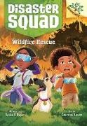 Rekha S Rajan, Rekha S. Rajan, Rekha S./ Lovett Rajan, Courtney Lovett - Wildfire Rescue - A Branches Book