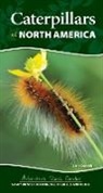 Jaret C. Daniels - Caterpillars of North America