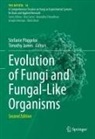 James, Timothy James, Stefanie Pöggeler - Evolution of Fungi and Fungal-Like Organisms