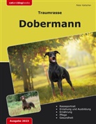 Peter Kalischer - Traumrasse: Dobermann