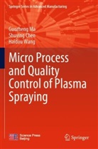 Shuying Chen, Guozheng Ma, Haidou Wang - Micro Process and Quality Control of Plasma Spraying