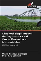 Paulo R. C. Landgraf, Otávio Henrique Domingos - Diagnosi degli impatti dell'agricoltura sul fiume Muzambo a Muzambinho