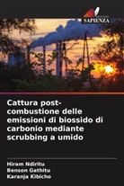 Benson Gathitu, Karanja Kibicho, Hiram Ndiritu - Cattura post-combustione delle emissioni di biossido di carbonio mediante scrubbing a umido