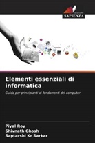 Shivnath Ghosh, Piyal Roy, Saptarshi Kr Sarkar - Elementi essenziali di informatica