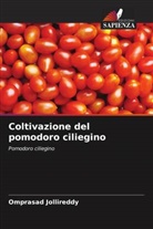 Omprasad Jollireddy - Coltivazione del pomodoro ciliegino